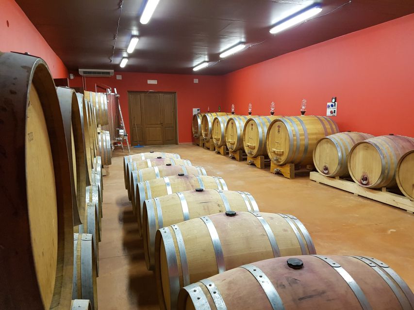 Montepulciano: Winery Tour, Tasting, and Vineyard Picnic - What makes this Montepulciano winery visit worthwhile