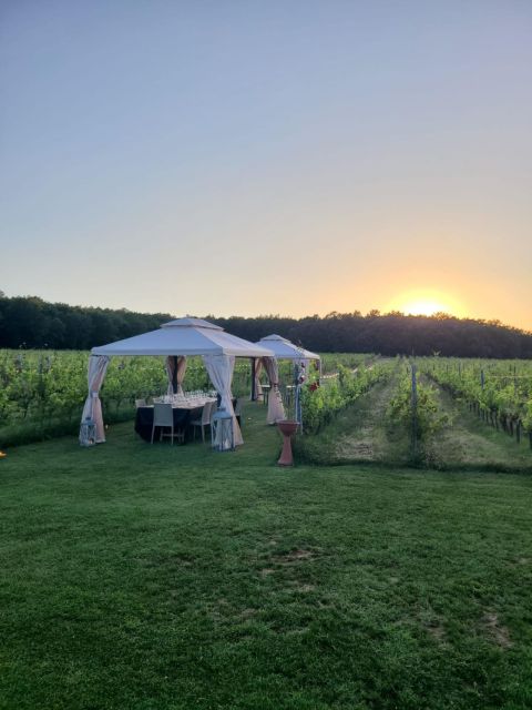Montepulciano: Winery Tour, Tasting, and Vineyard Picnic - Wine tasting after lunch