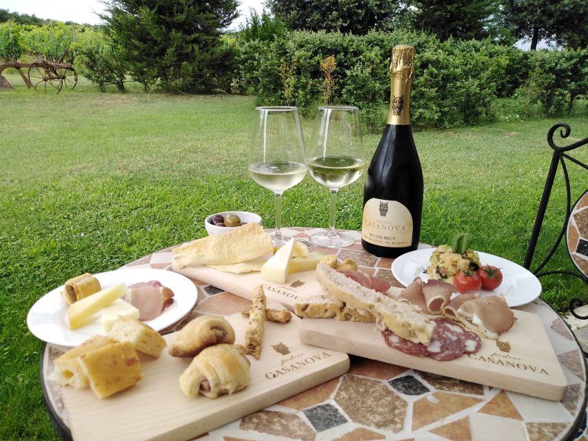 Montepulciano: Winery Tour, Tasting, and Vineyard Picnic - A 30-minute tour from vineyard to cellar
