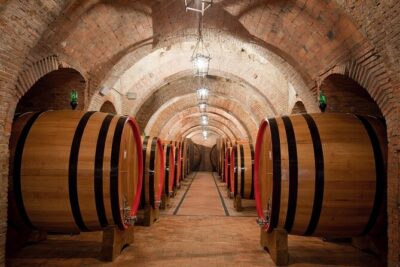 Winery Tour & Tasting Experience