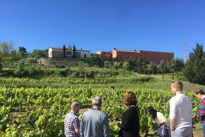 Montserrat & best winery private tour experience with a local expertise - Montserrat first, with the choir as a possible bonus