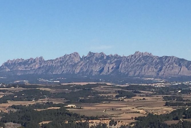 Montserrat & best winery private tour experience with a local expertise - Who should book this Barcelona excursion