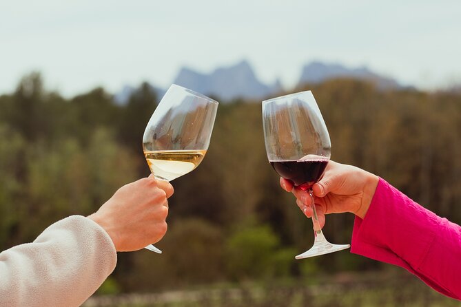 Montserrat & Boutique Winery with Catalan Brunch | Private Tour - The cogwheel climb to Santa Maria de Montserrat