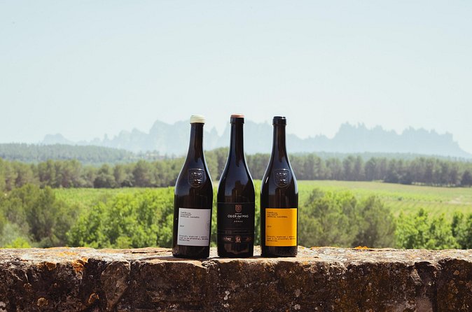 Montserrat & Boutique Winery with Catalan Brunch | Private Tour - Finca Ca n’Estella, Oller del Mas, and the personal scale