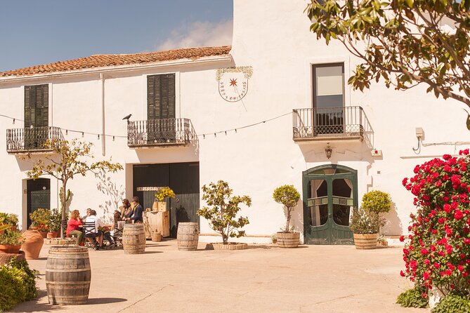 Montserrat & Boutique Winery with Catalan Brunch | Private Tour - Catalan brunch with cheese and charcuterie
