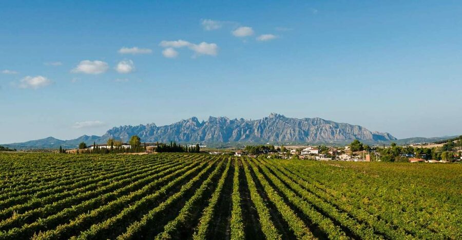 Montserrat & Cava Wineries Day Trip from Barcelona w/ Pickup - Free time, cable cars, and mountain walks