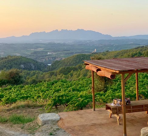 Montserrat Private Day Trip with Codorniu Cava Cellar Tasting - Timing, crowds, and what can go wrong