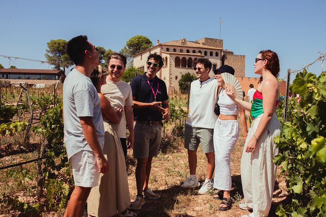 Montserrat Tour with Winery Lunch & Exclusive Cellar Experience - Lunch and wine at Oller del Mas