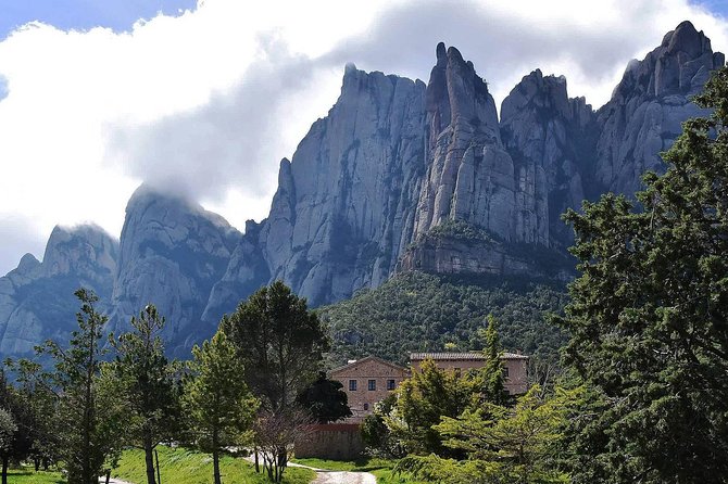 Montserrat,Vineyard, Wine Tasting Small Group Tour & Hotel Pickup - From the mountain to Penedès wine country