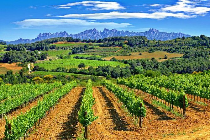 Montserrat,Vineyard, Wine Tasting Small Group Tour & Hotel Pickup - Is ten hours too long?