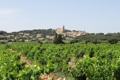 Morning Wine Tour to Chateauneuf du Pape from Avignon