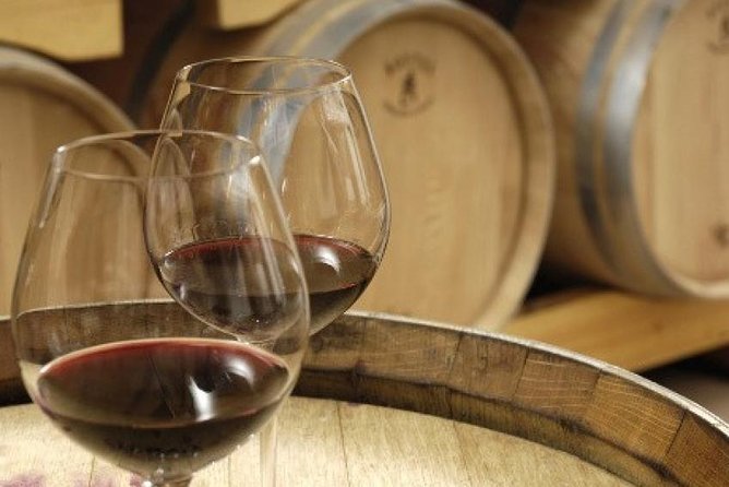 Morning Wine Tour to Chateauneuf du Pape from Avignon - Who should book this half-day outing?