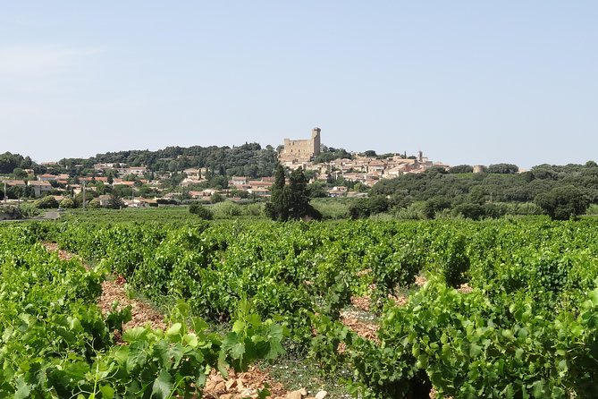 Morning Wine Tour to Chateauneuf du Pape from Avignon - The castle viewpoint and Châteauneuf-du-Pape village