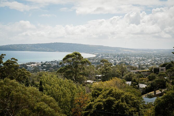 Mornington Peninsula Small Group Thermal Springs w/ Lunch & Wine - Is $175.72 good value?