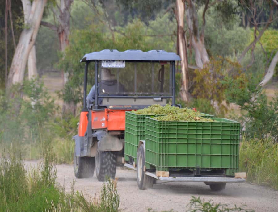Mornington Peninsula Winery Bus Tour with Lunch & Wine - Scenic stops across the peninsula