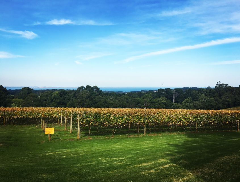 Mornington Peninsula Winery Bus Tour with Lunch & Wine - The guide can shape the whole day