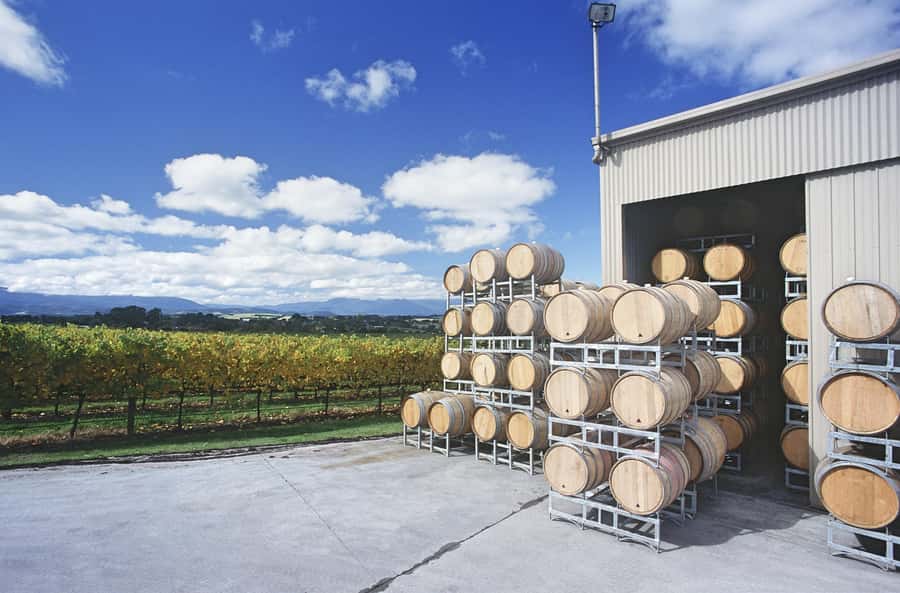 Mornington Peninsula Winery Bus Tour with Lunch & Wine - Practical tips for a smoother day