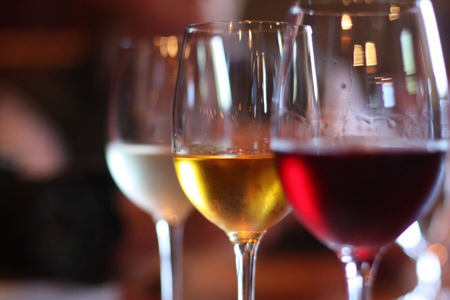Mosel: Accompanied wine tasting directly at the winery - Meeting the winemaker at Weingut Reef