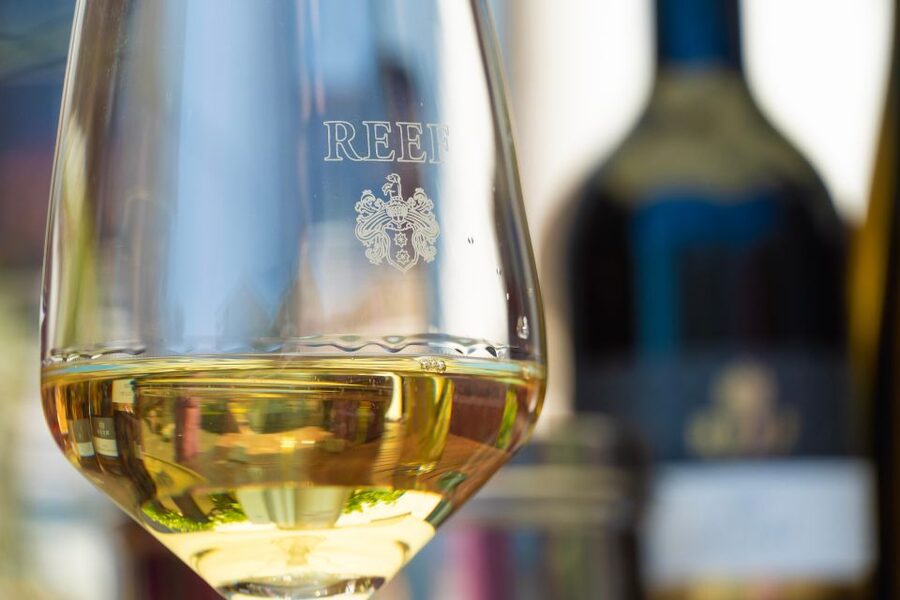 Mosel: Accompanied wine tasting directly at the winery - Six wines, not just six samples