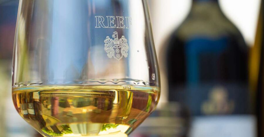 Mosel: Accompanied wine tasting directly at the winery - What happens during the 1.5-hour tasting