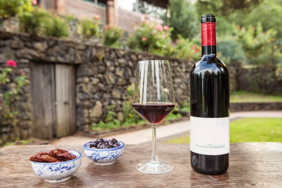 Mount Etna: Winery Tour and Tasting - Key points at a glance