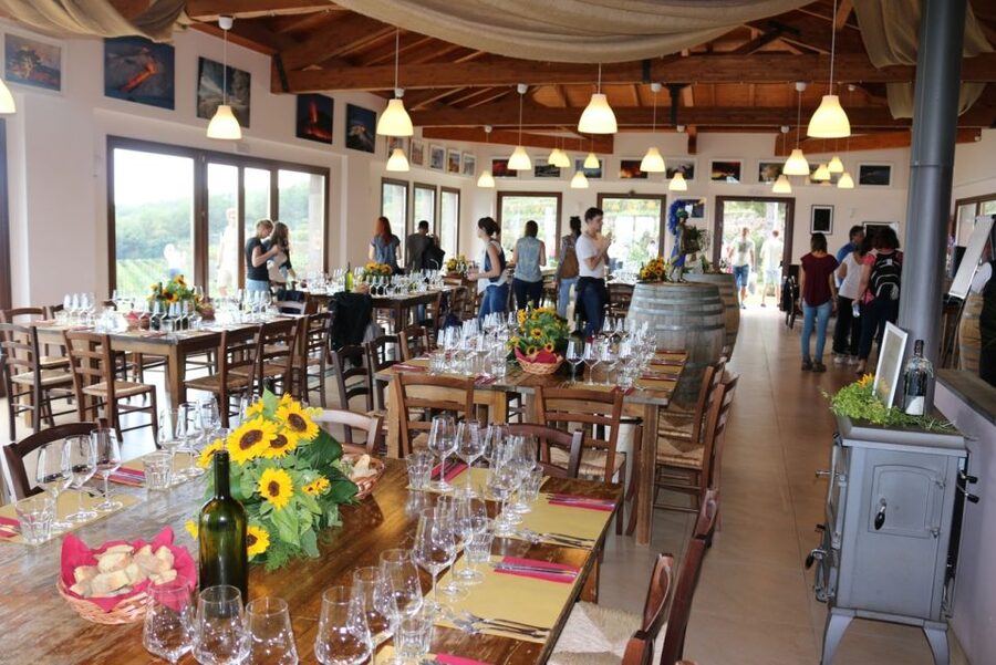 Mount Etna: Winery Tour and Tasting - A winery high on Mount Etna