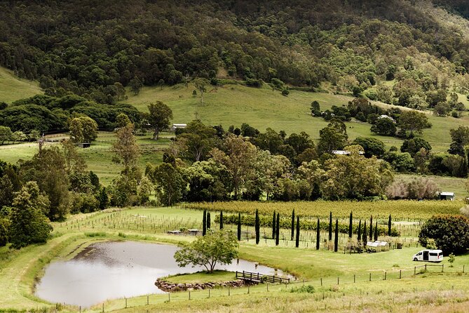 Mount Tamborine Winery Tour with Gourmet lunch - Key points at a glance