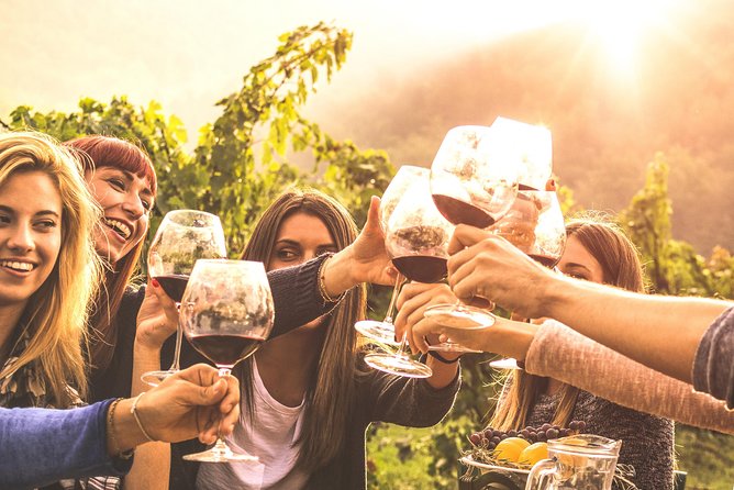 Mount Tamborine Winery Tour with Gourmet lunch - Witches Falls Winery and the first guided tasting
