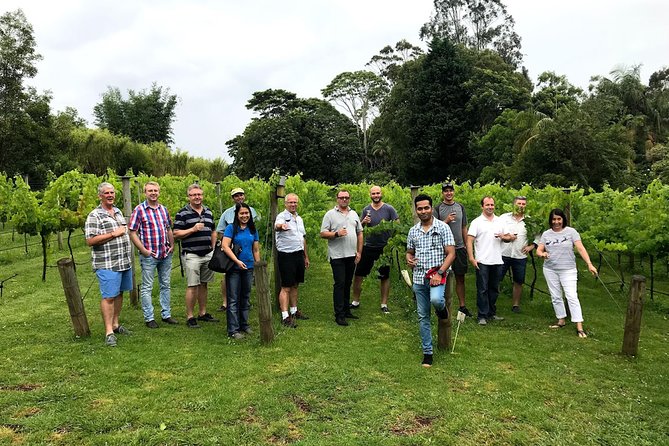 Mount Tamborine Winery Tour with Gourmet lunch - Wine quantity, tasting quality, and what to expect