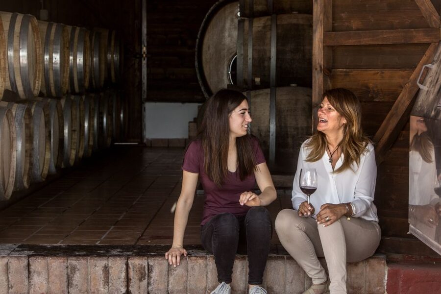 Mount Vesuvius: Vineyard Tour with Wine Tasting and Lunch - Should you book this Vesuvius wine tour?