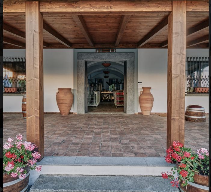 Mount Vesuvius: Vineyard Tour with Wine Tasting and Lunch - Who should book this experience?