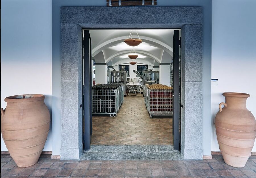 Mount Vesuvius: Vineyard Tour with Wine Tasting and Lunch - Practical booking advice