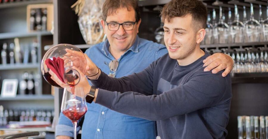 Mount Vesuvius: Vineyard Tour with Wine Tasting and Lunch - A vineyard on the volcano