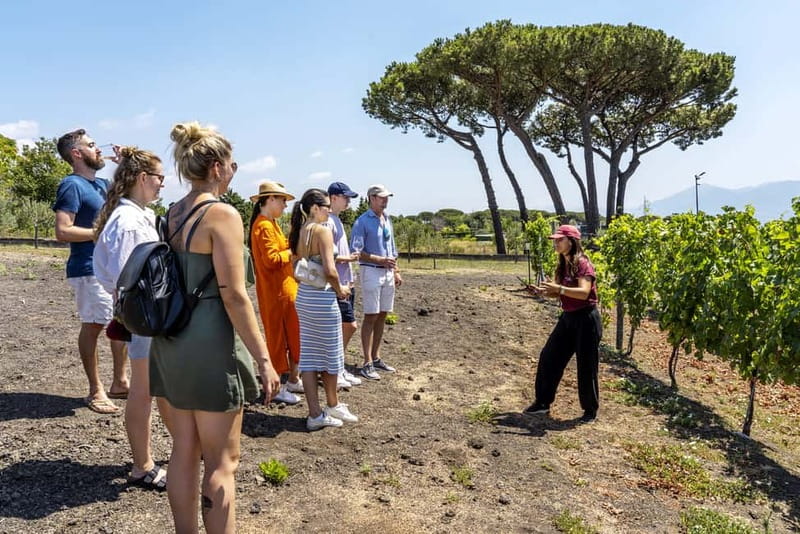 Mount Vesuvius: Vineyards Tour with Wine Tasting and Lunch - From Grape to Bottle in the Cellar