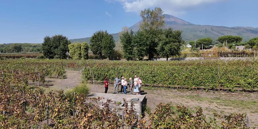 Mount Vesuvius: Vineyards Tour with Wine Tasting and Lunch - What You Eat: A Proper Campanian Lunch