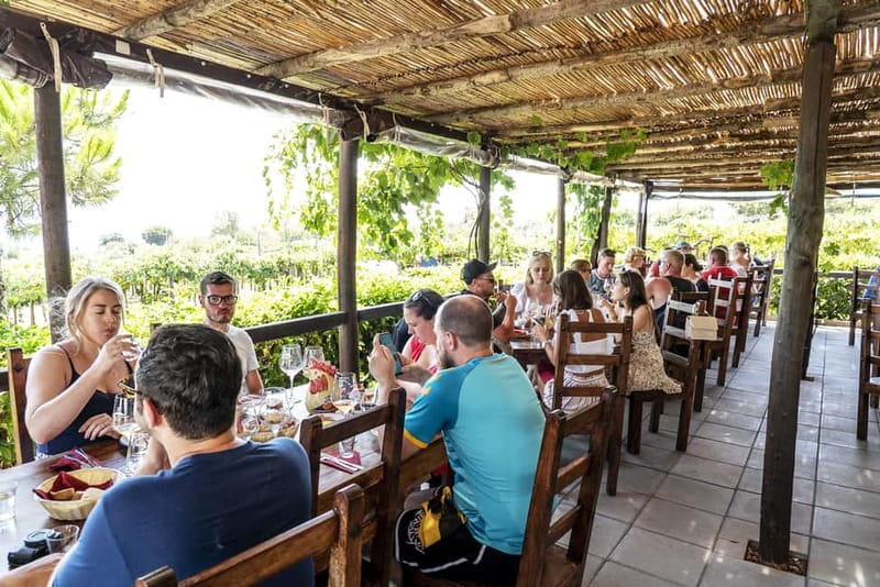 Mount Vesuvius: Vineyards Tour with Wine Tasting and Lunch - Is Two Hours Enough?