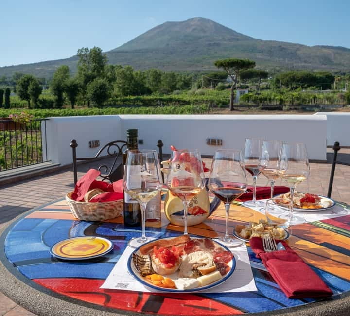 Mount Vesuvius: Vineyards Tour with Wine Tasting and Lunch - Price and Overall Value