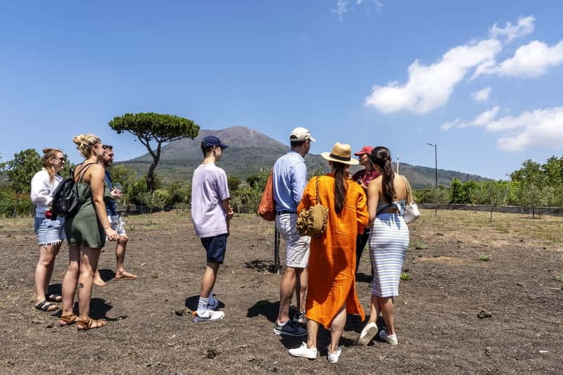 Mount Vesuvius: Vineyards Tour with Wine Tasting and Lunch - Who Will Enjoy This Winery Visit Most?