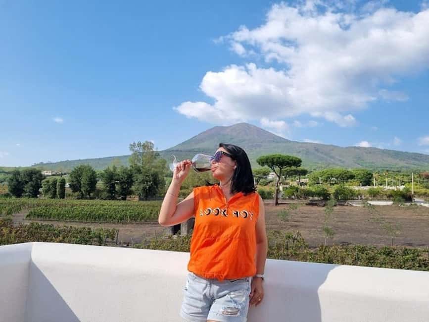 Mount Vesuvius: Vineyards Tour with Wine Tasting and Lunch - Walking the Vines Around Cantina del Vesuvio
