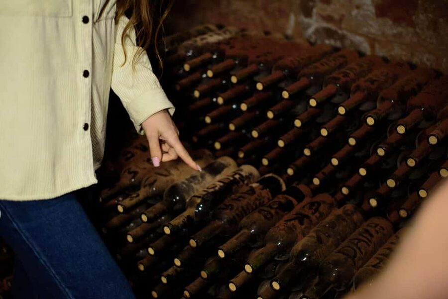 Mt. Ararat: Wine Tasting & Dinner at Tushpa Winery - A compact two-hour schedule