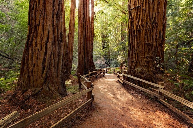 Muir Woods & Wine Tour: Redwoods & Tastings at 3 Wineries - Key points at a glance