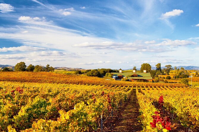 Muir Woods & Wine Tour: Redwoods & Tastings at 3 Wineries - What $199 buys you, and what it does not
