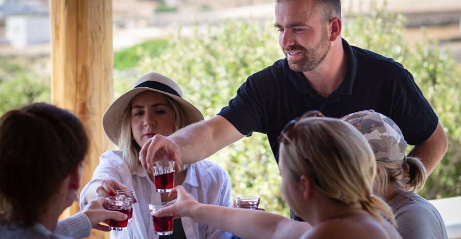 Mykonos: Winery Vineyard Experience with Food & Wine Tasting - A quieter side of Mykonos
