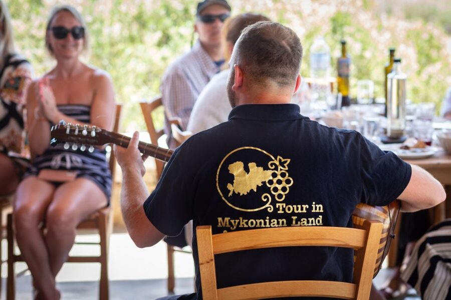 Mykonos: Winery Vineyard Experience with Food & Wine Tasting - The tasting: wine with a full table