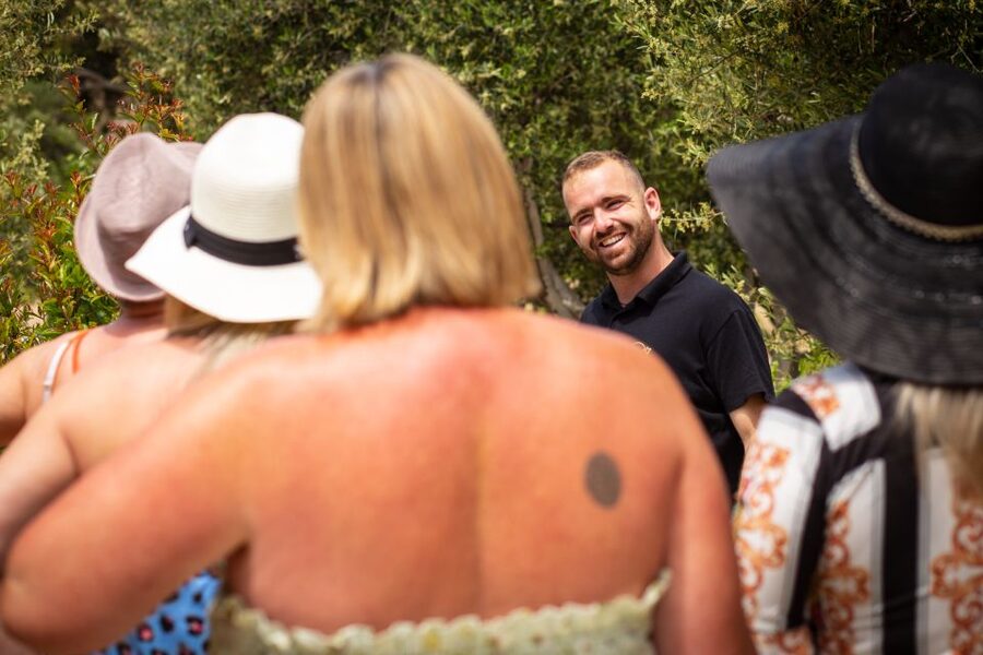 Mykonos: Winery Vineyard Experience with Food & Wine Tasting - What the $80 price gets you