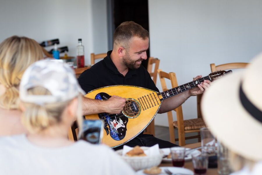 Mykonos: Winery Vineyard Experience with Food & Wine Tasting - Who will enjoy this most
