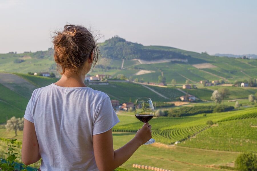 Nafplion: Nemea Vineyards Wine Tour - Key points to know before booking