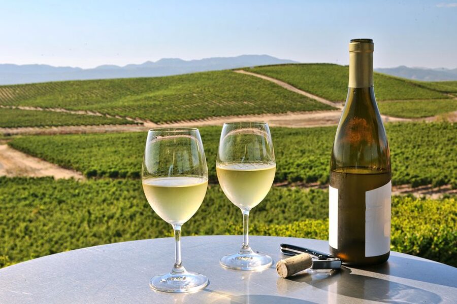Nafplion: Nemea Vineyards Wine Tour - Is $247 per person good value?
