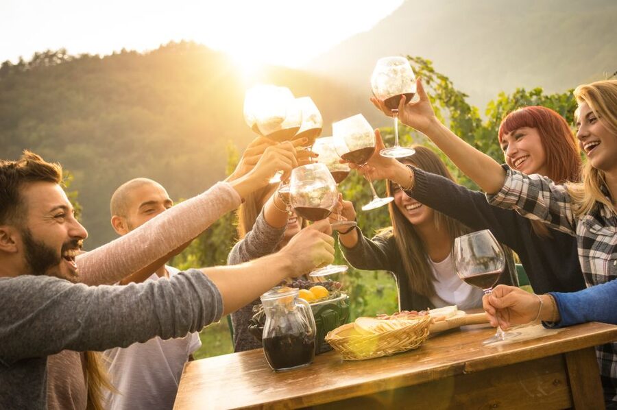 Nafplion: Nemea Vineyards Wine Tour - Who should book this tour?