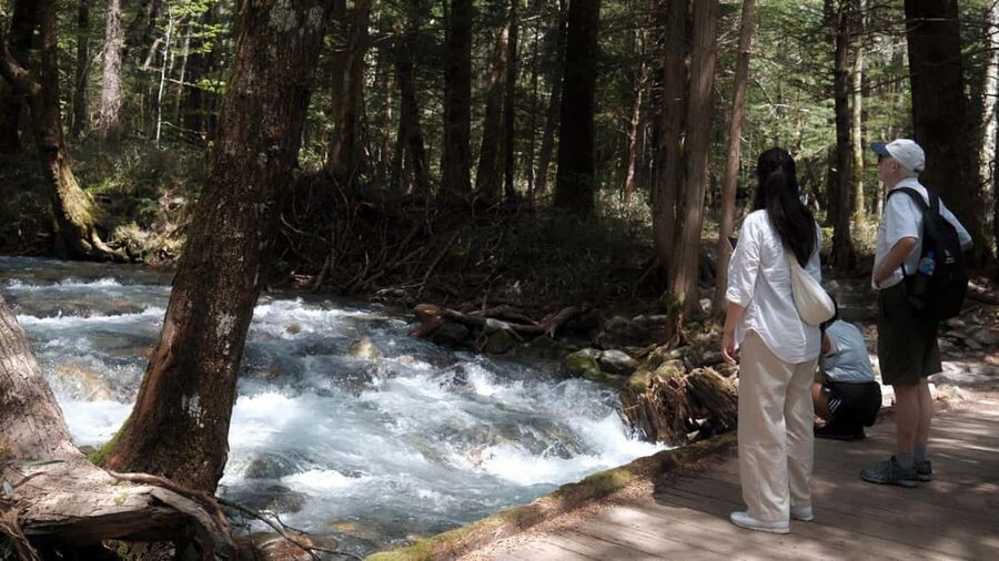 Nagano Autumn special: Kamikochi & Wasabi Farm & Winery - Key points to know before you book